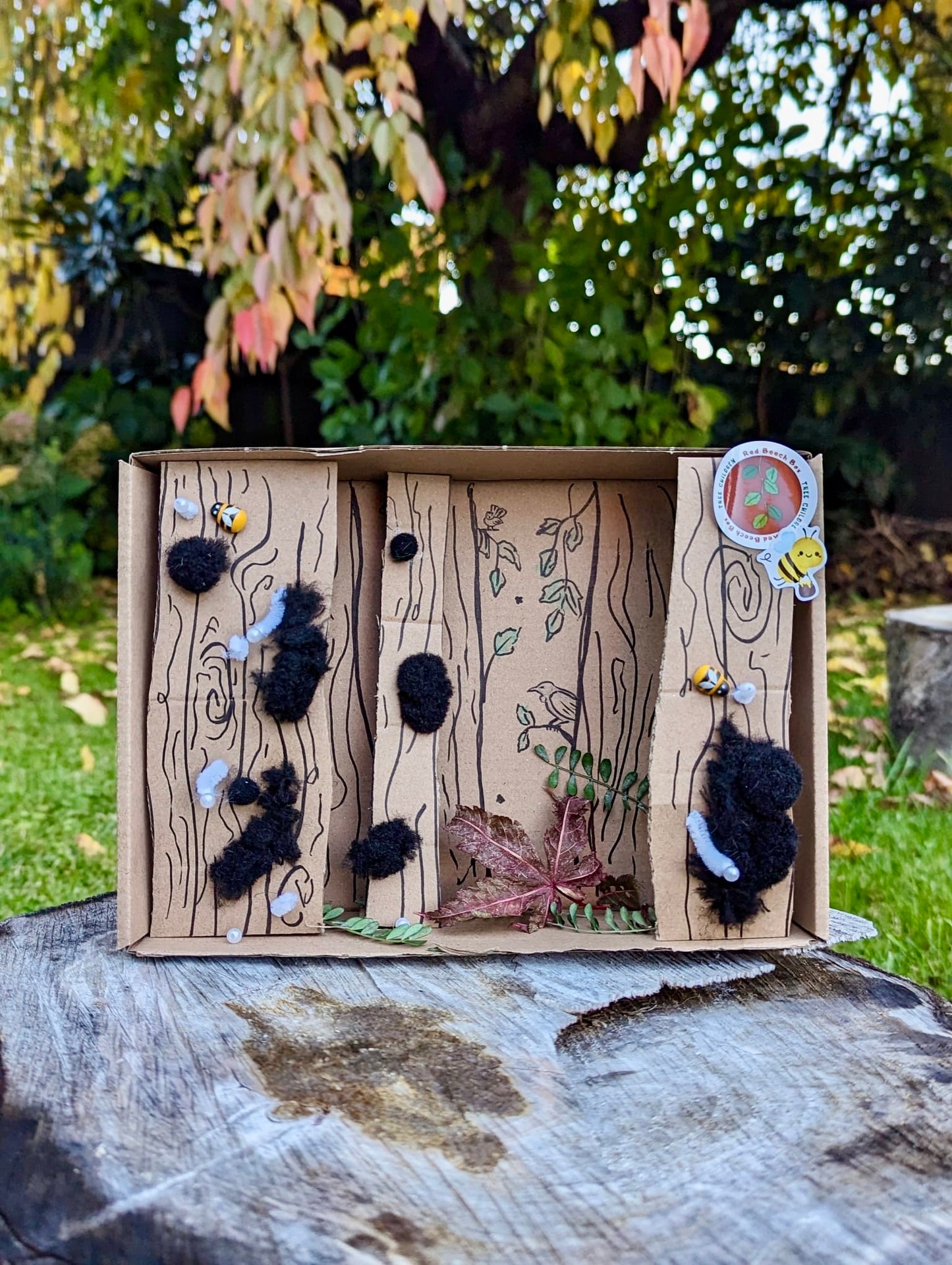 Past Box - Red Beech Box