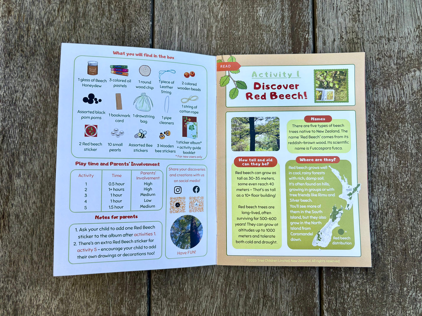 Past Box - Red Beech Box