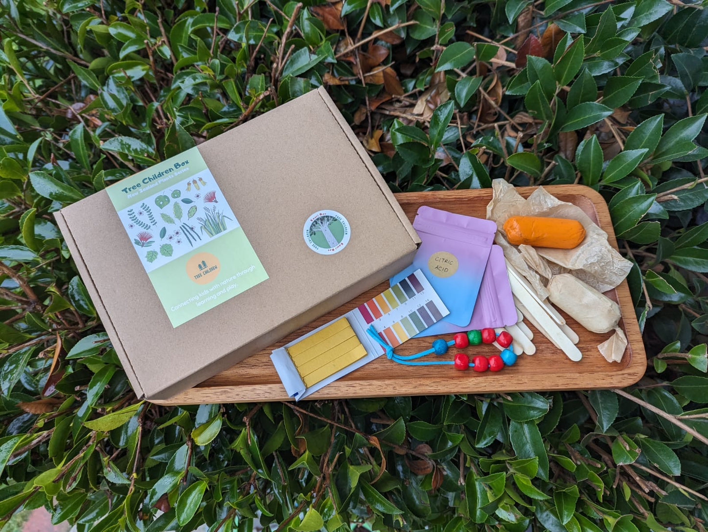 Past Box - Kauri Box