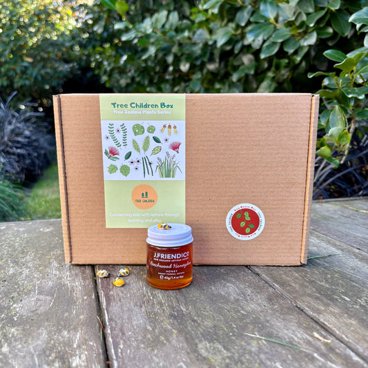 Tree Children Box (Red Beech Box available!)