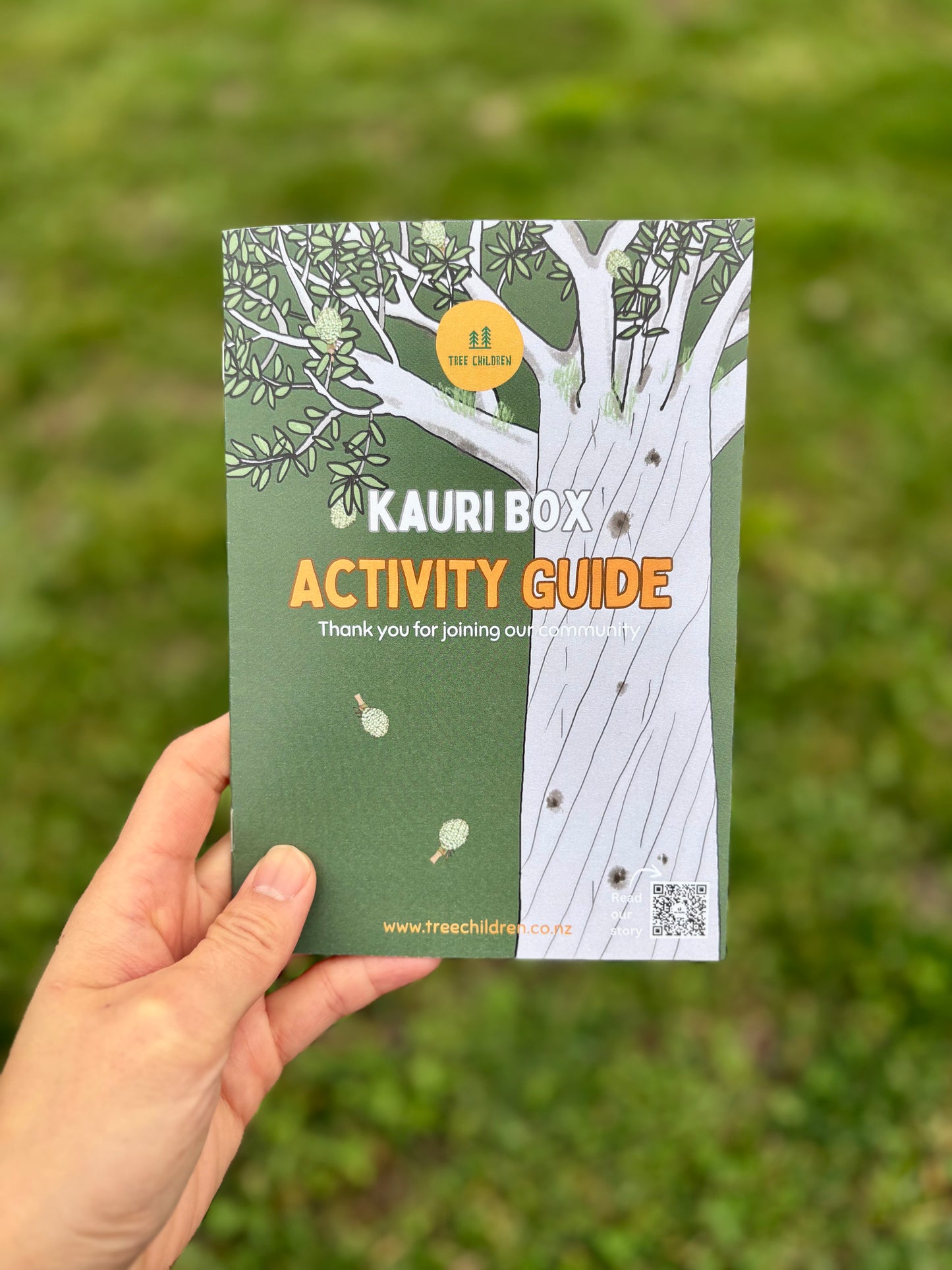 Past Box - Kauri Box
