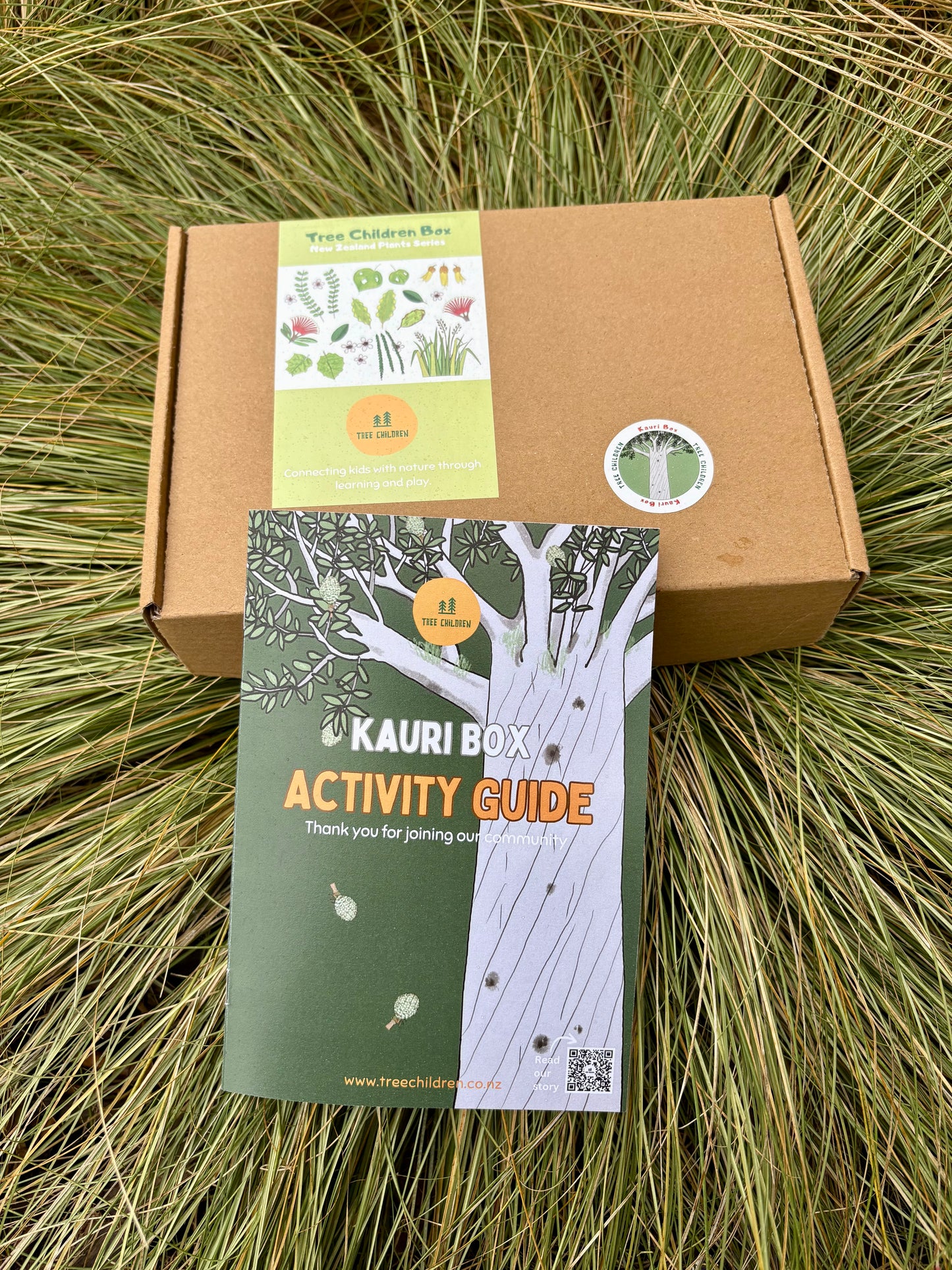Past Box - Kauri Box