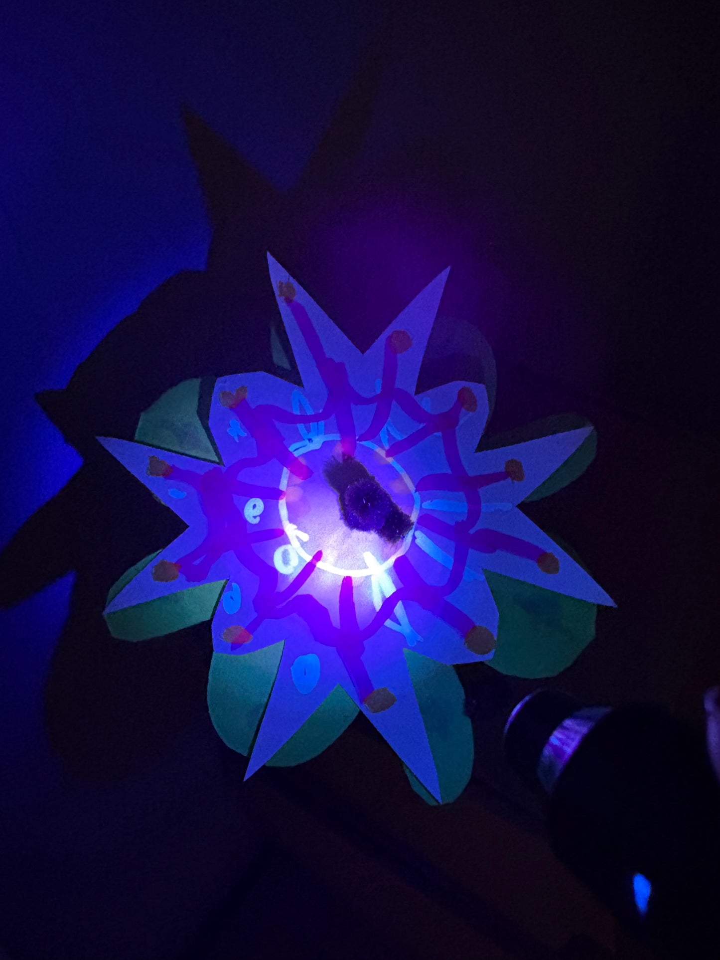 Current Box - Mānuka Box