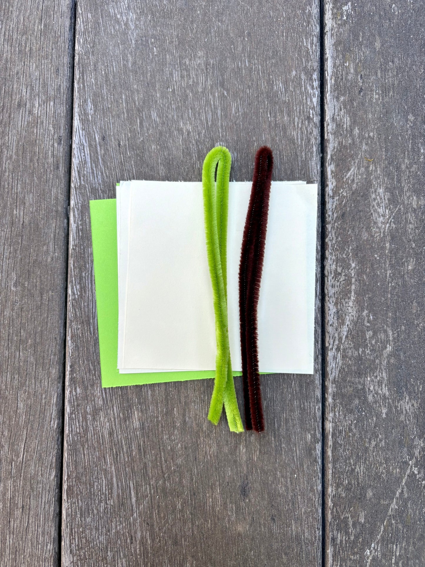 Current Box - Mānuka Box