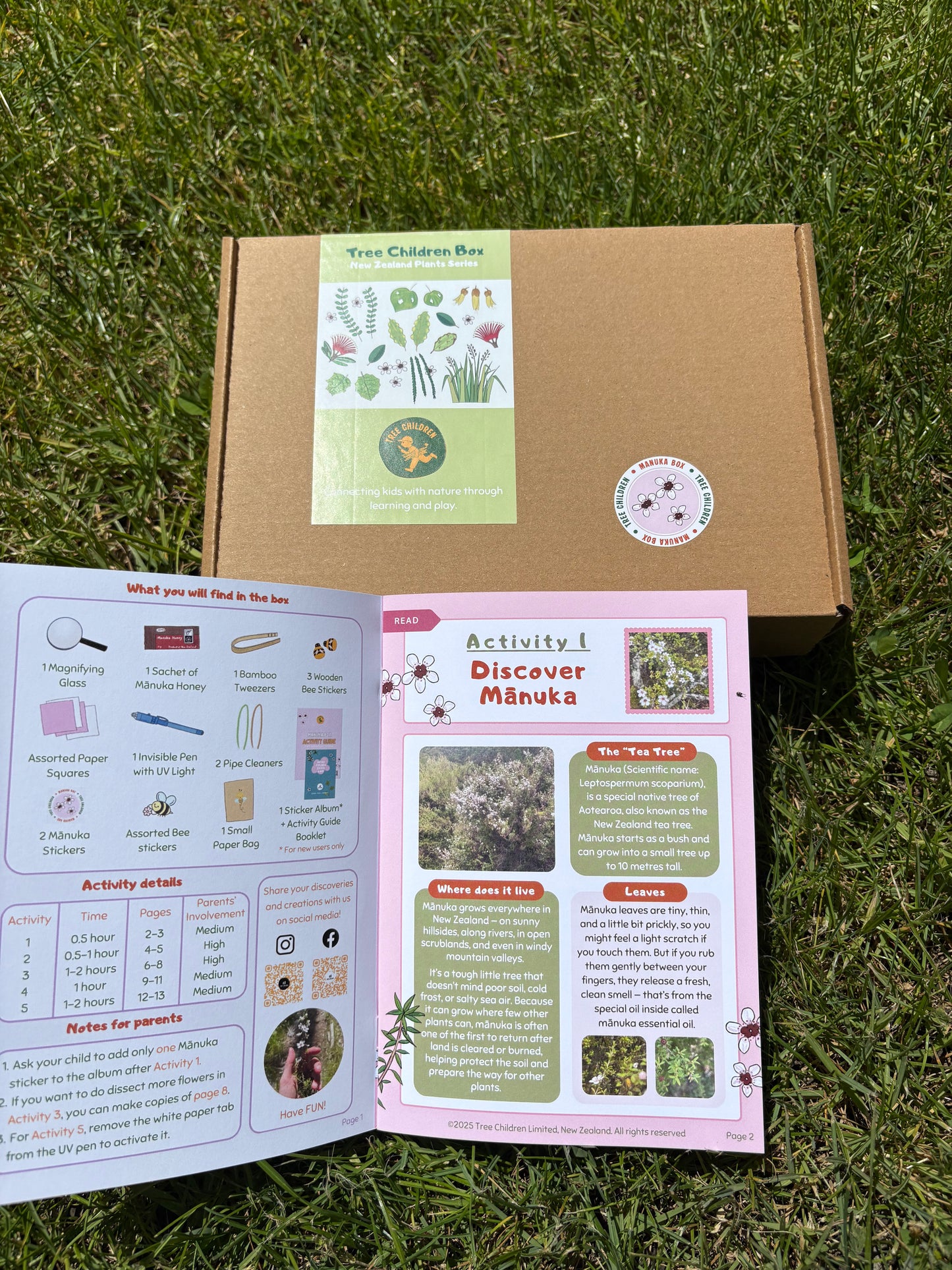 Current Box - Mānuka Box