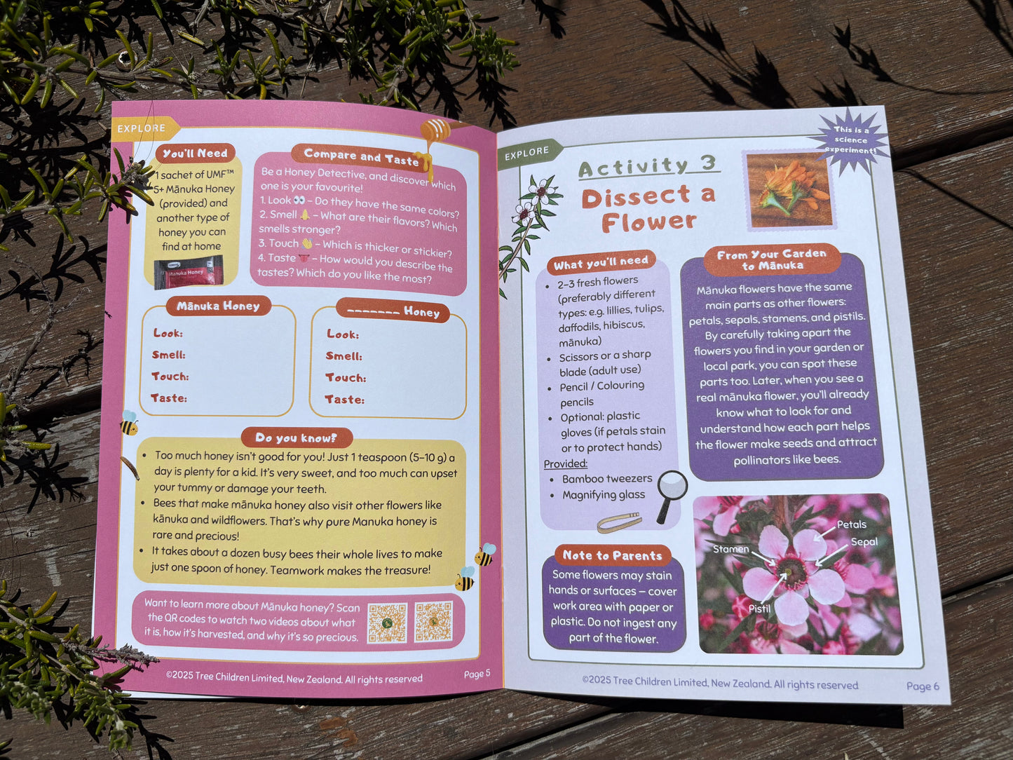 Current Box - Mānuka Box