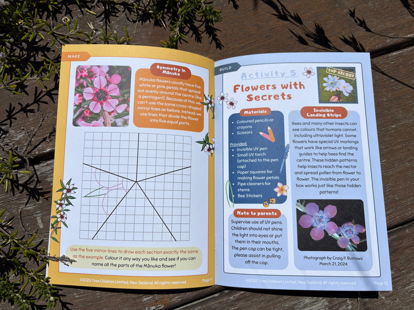 Current Box - Mānuka Box