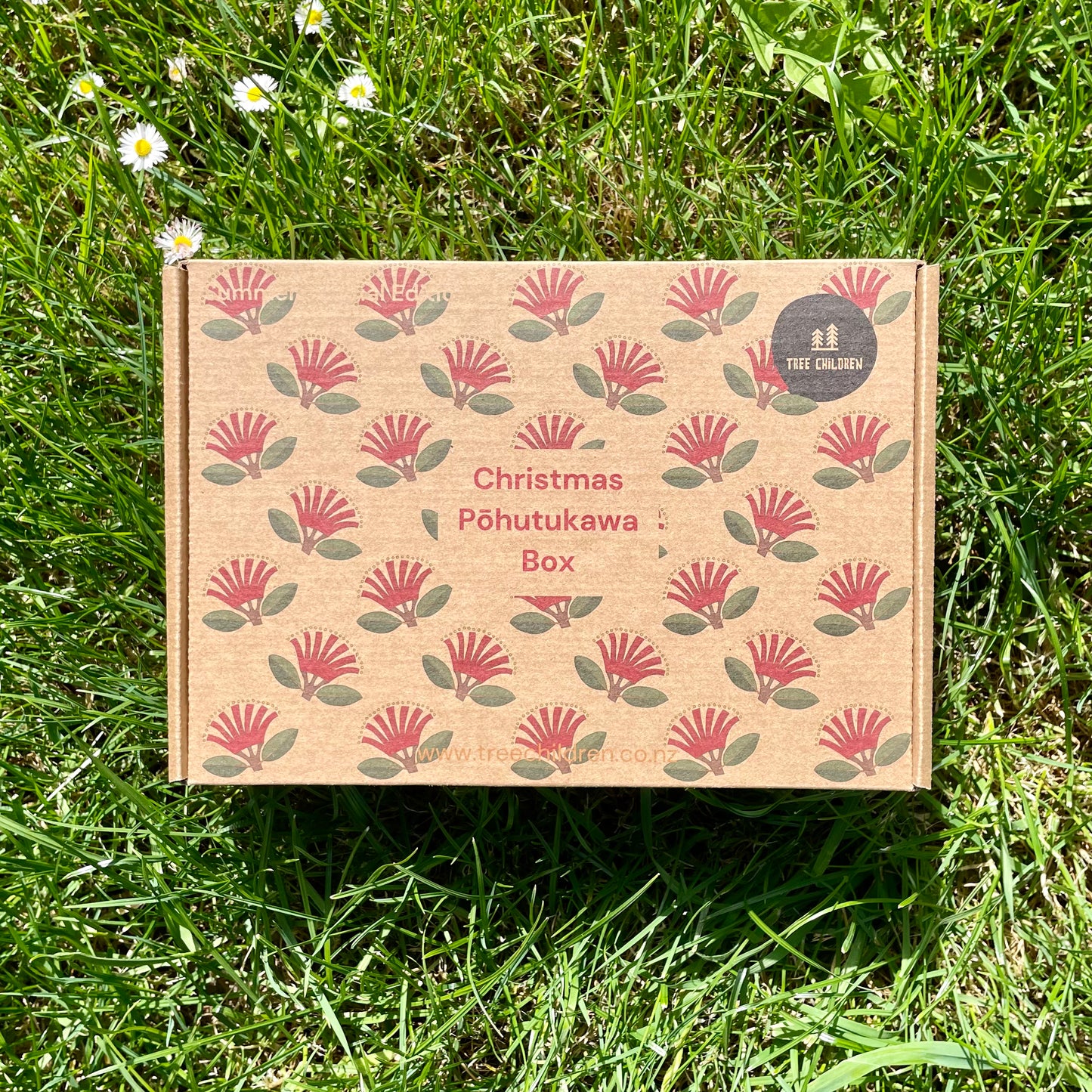 Past Box - Pōhutukawa Box