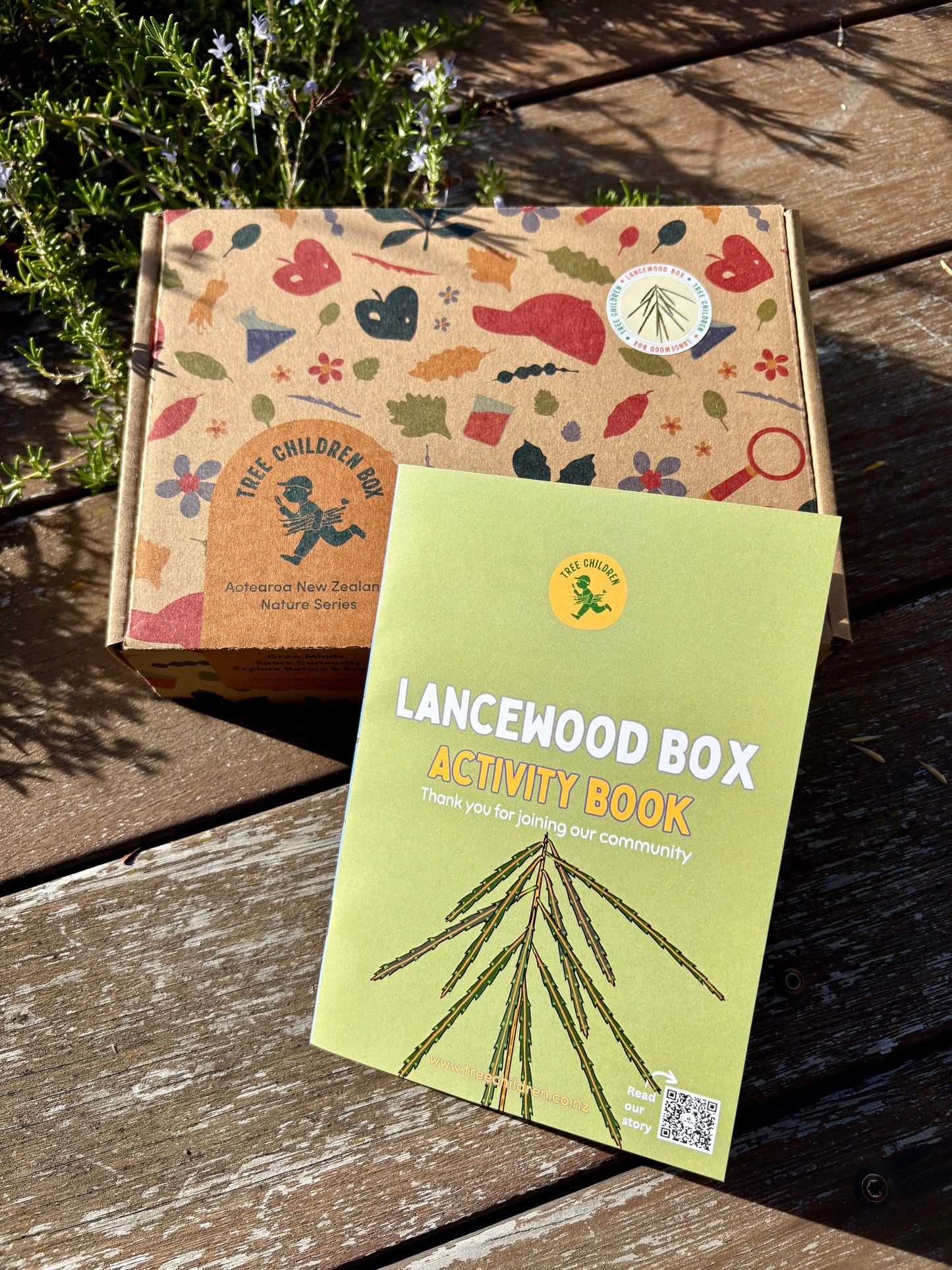 Current Box: Lancewood Box