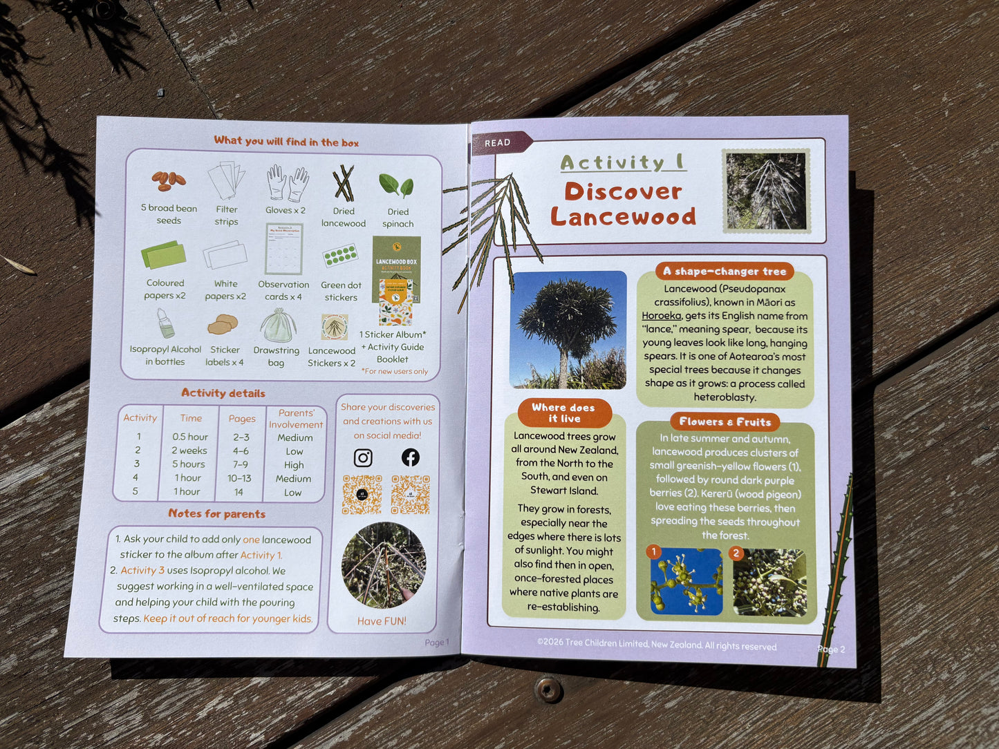 Current Box: Lancewood Box