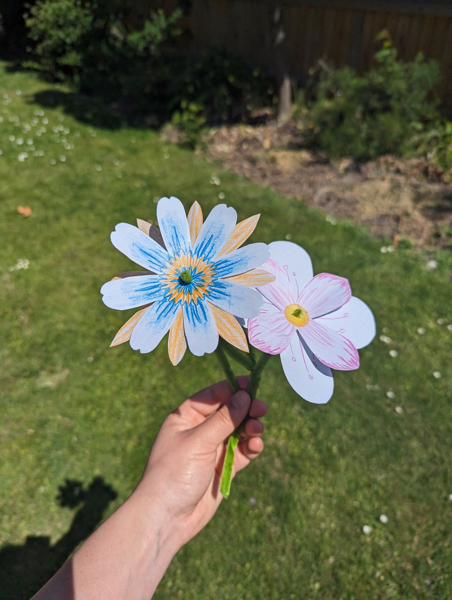 Current Box - Mānuka Box