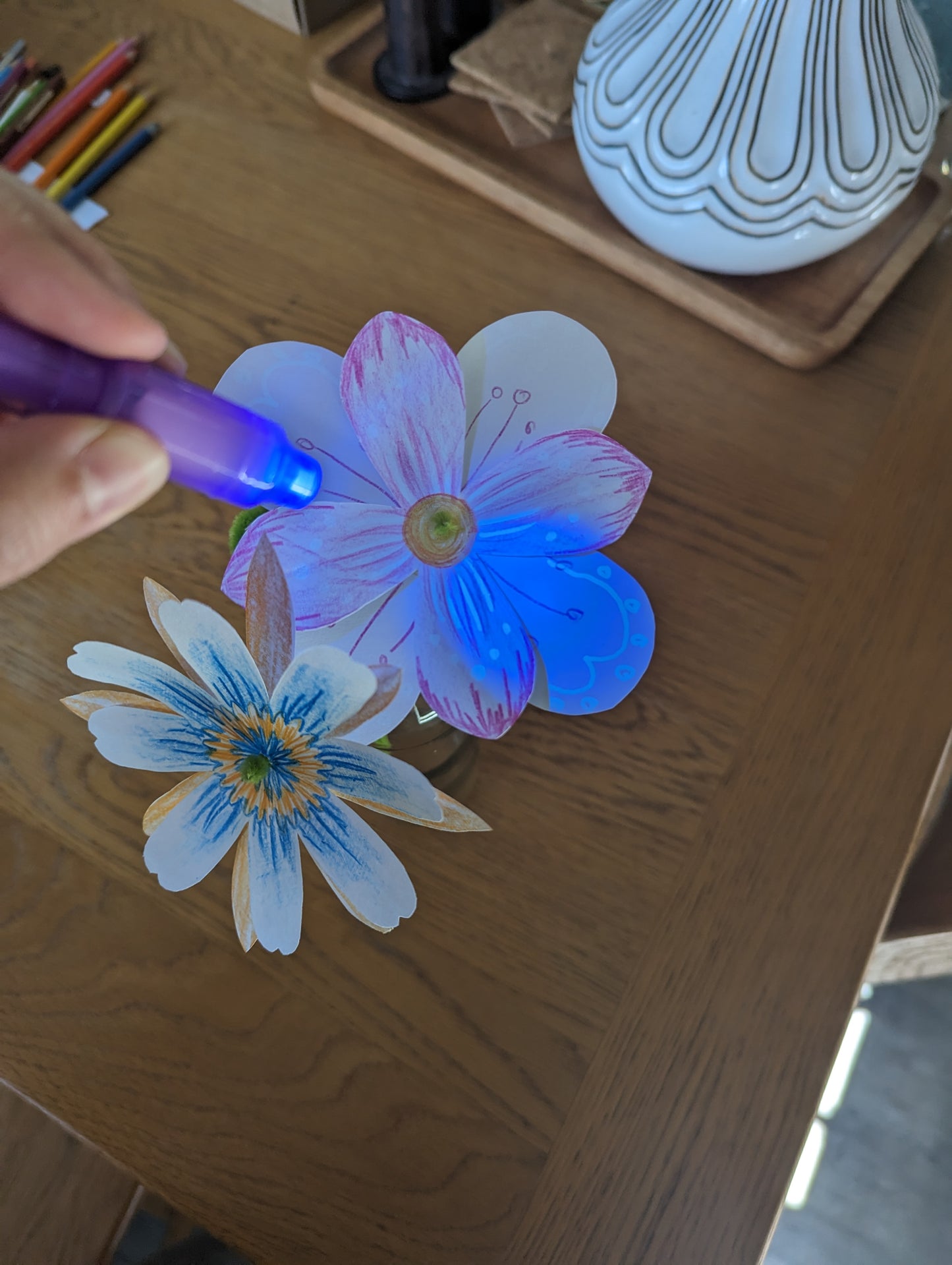 Current Box - Mānuka Box