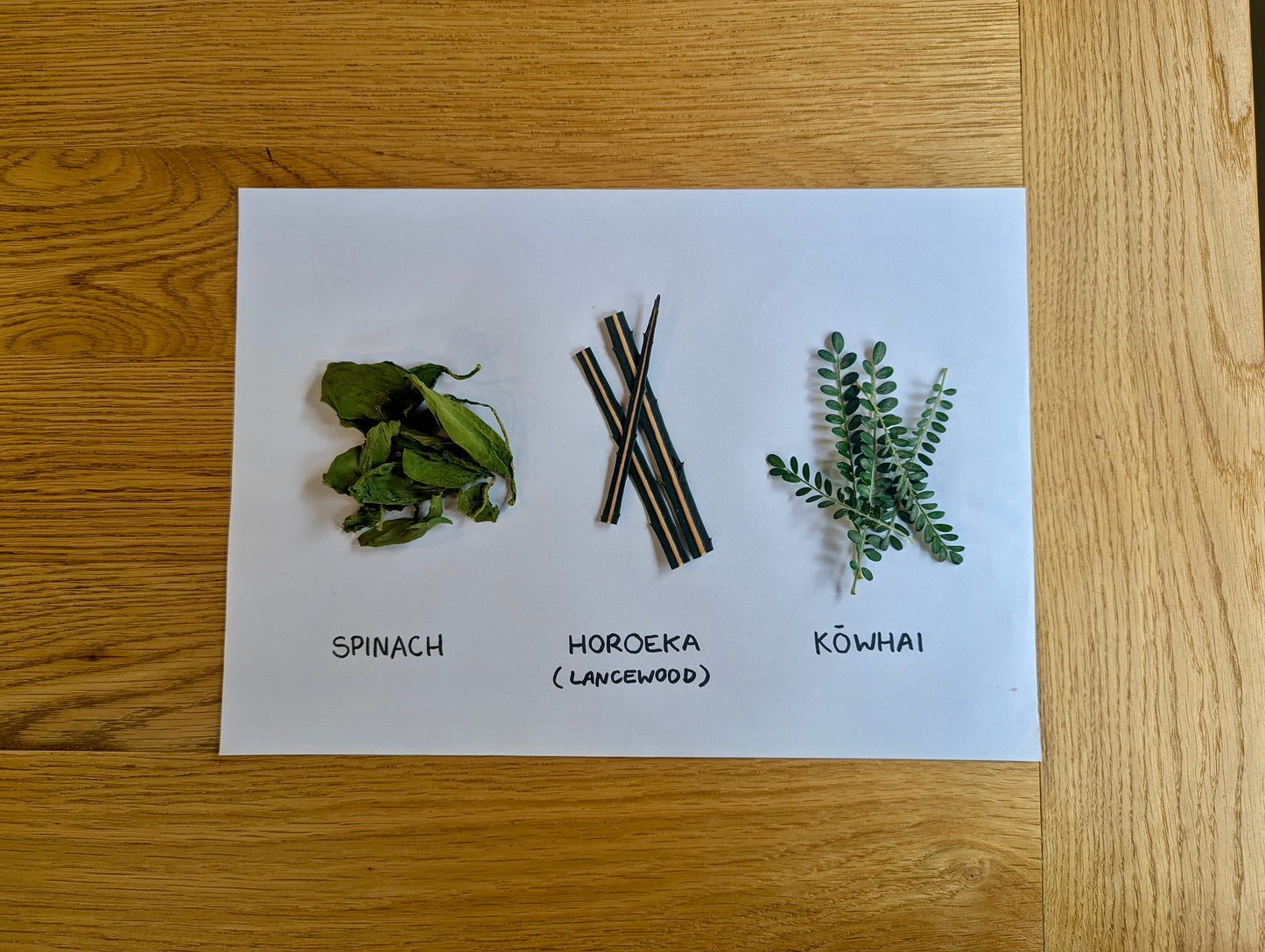Current Box: Lancewood Box